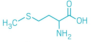 methionine