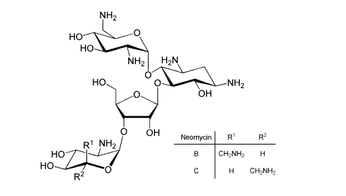 Neomycin