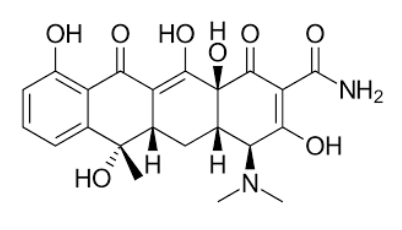 Tetracycline