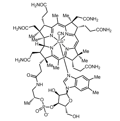 Vitamin B12