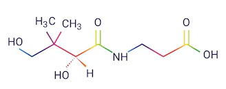 Vitamin B5