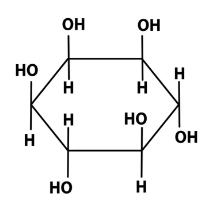 Vitamin B8