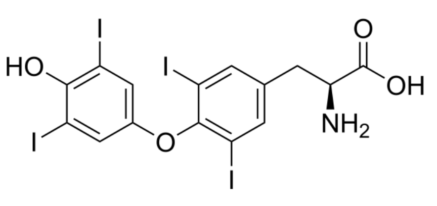 Levothyrox