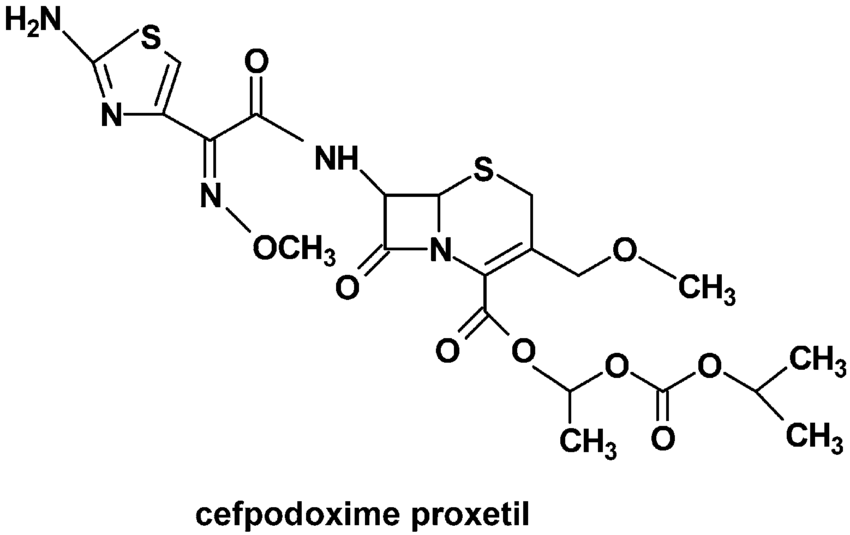 Cefpodoxime