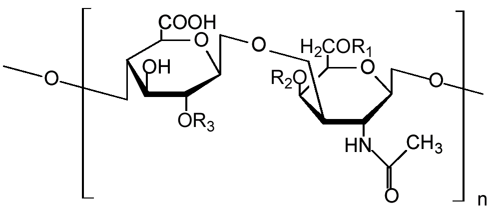 Chondroitin