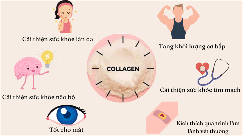 vai trò collagen