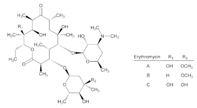 Erythromycin