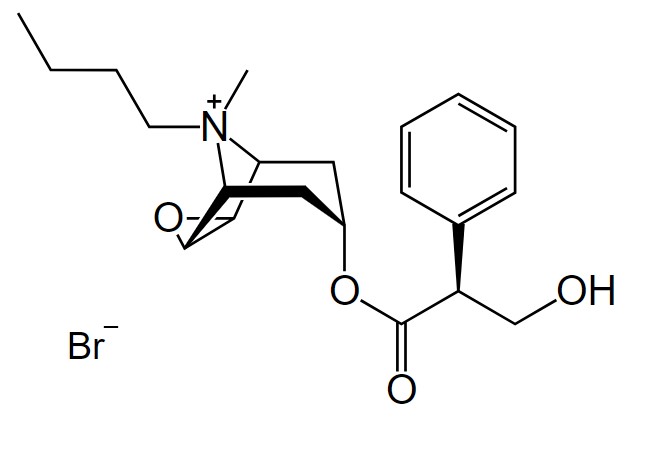 Hyoscine butylbromide