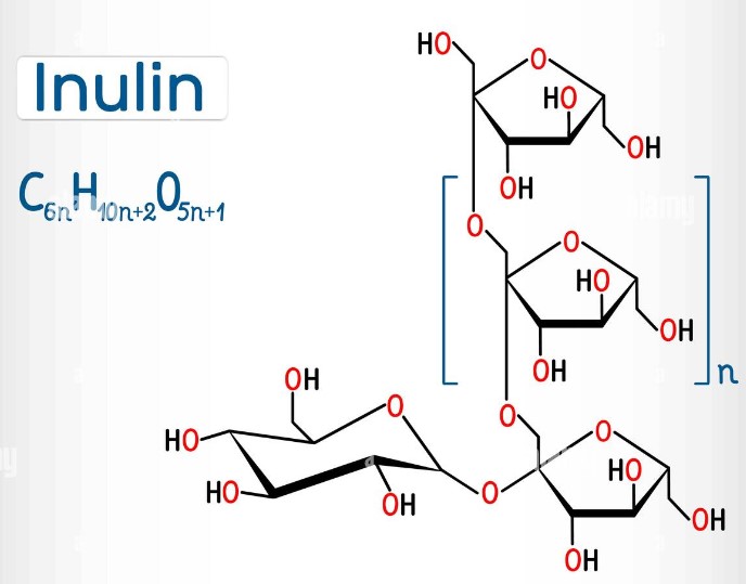 Inulin